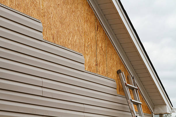 Professional Wood Siding technician working in Providence, KY